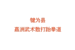 犍为县嘉洲武术散打跆拳道