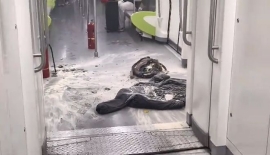 新盛公司客服电话/微hk15320  不止飞机，长沙坐地铁也要查充电宝3C认证标识