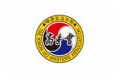高手会沃达国技跆拳道