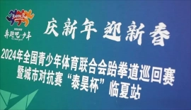 2024年全国青少年体育联合会青少儿跆拳道巡回赛暨城市对抗赛“泰昊杯”临夏站