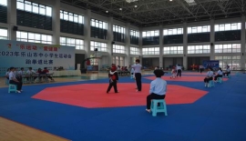 “乐运动·爱健康”2023年乐山市中小学生运动会跆拳道比赛顺利完赛