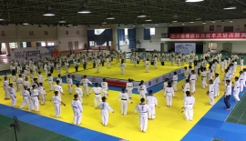 派讲师出席段位培训班执教
