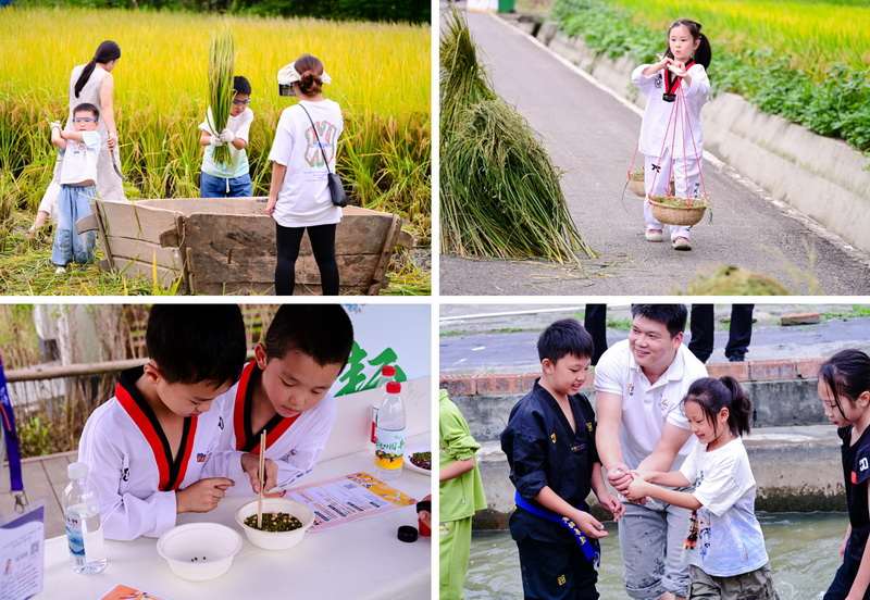 result (4)_调整大小